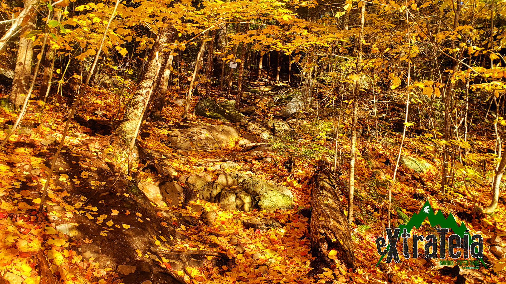 The Crack | Guide de randonnée • Hiking guide | Blogue • Blog | eXtrateia • Ruck Club et randonnée | SpartanFit • Sainte-Julie